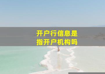 开户行信息是指开户机构吗