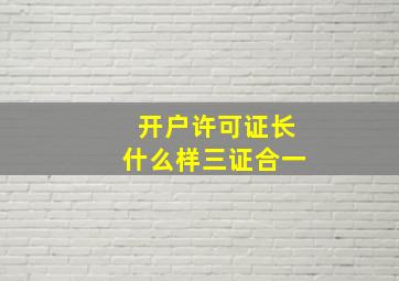 开户许可证长什么样三证合一