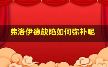 弗洛伊德缺陷如何弥补呢