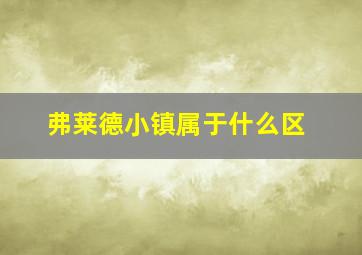 弗莱德小镇属于什么区