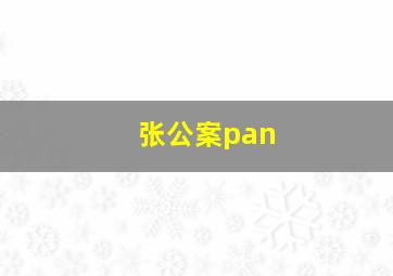 张公案pan