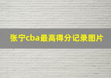 张宁cba最高得分记录图片