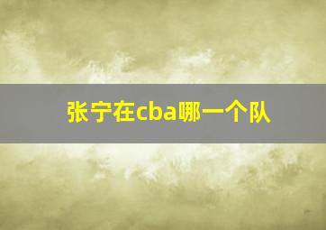 张宁在cba哪一个队