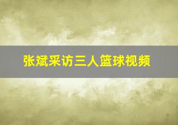 张斌采访三人篮球视频