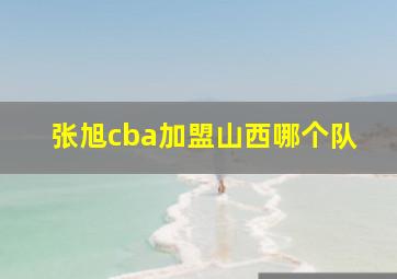 张旭cba加盟山西哪个队