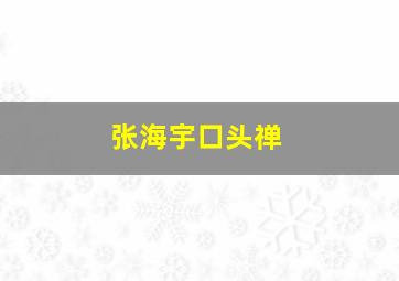 张海宇口头禅