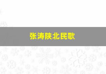 张涛陕北民歌