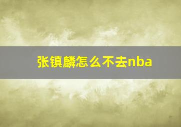 张镇麟怎么不去nba