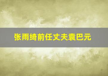 张雨绮前任丈夫袁巴元