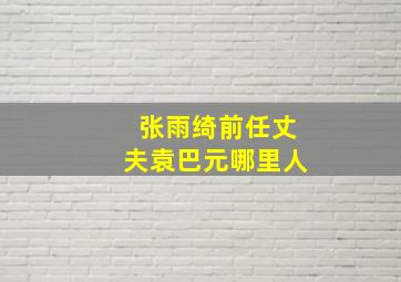 张雨绮前任丈夫袁巴元哪里人