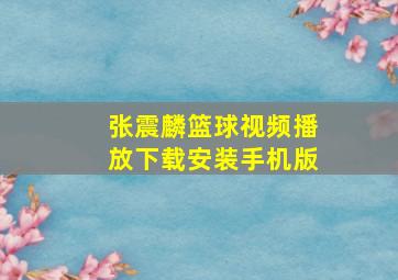 张震麟篮球视频播放下载安装手机版