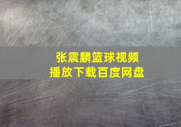 张震麟篮球视频播放下载百度网盘