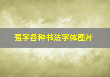 强字各种书法字体图片