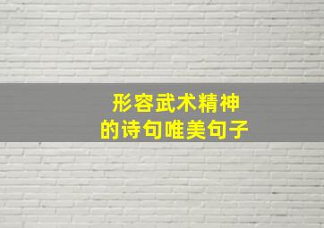 形容武术精神的诗句唯美句子