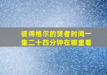 彼得格尔的贤者时间一集二十四分钟在哪里看