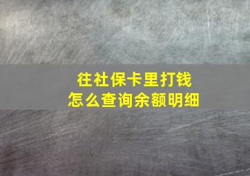 往社保卡里打钱怎么查询余额明细