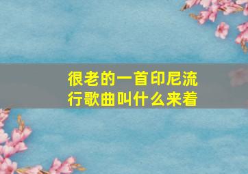 很老的一首印尼流行歌曲叫什么来着