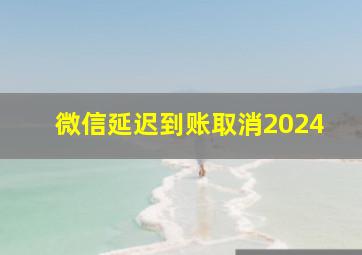 微信延迟到账取消2024