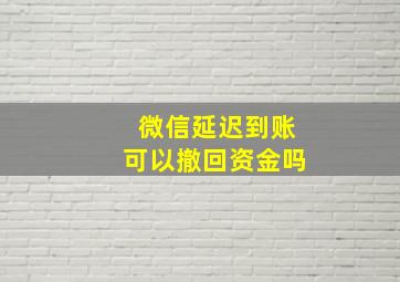 微信延迟到账可以撤回资金吗