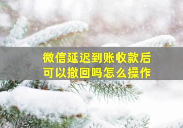 微信延迟到账收款后可以撤回吗怎么操作