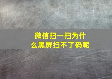 微信扫一扫为什么黑屏扫不了码呢