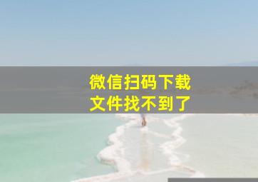 微信扫码下载文件找不到了