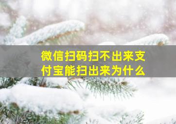 微信扫码扫不出来支付宝能扫出来为什么