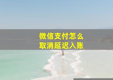 微信支付怎么取消延迟入账