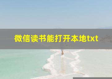 微信读书能打开本地txt