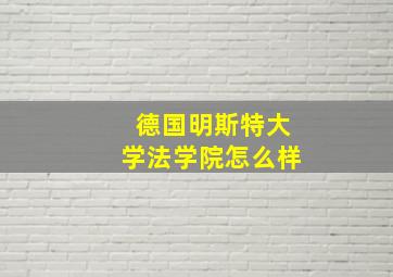 德国明斯特大学法学院怎么样