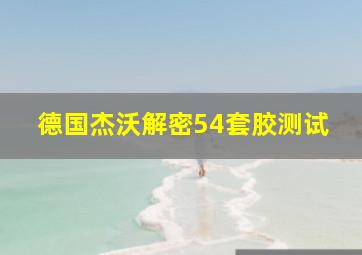 德国杰沃解密54套胶测试