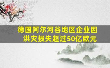 德国阿尔河谷地区企业因洪灾损失超过50亿欧元