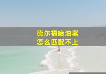 德尔福喷油器怎么匹配不上