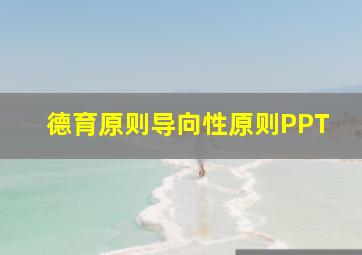 德育原则导向性原则PPT