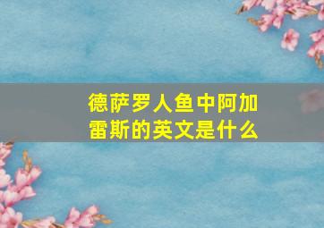 德萨罗人鱼中阿加雷斯的英文是什么