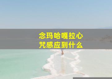 念玛哈嘎拉心咒感应到什么