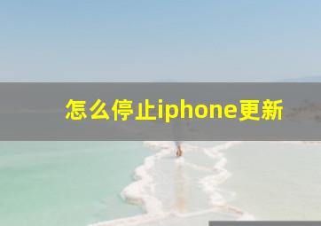 怎么停止iphone更新