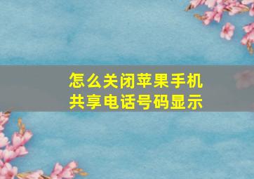 怎么关闭苹果手机共享电话号码显示