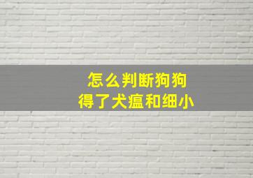 怎么判断狗狗得了犬瘟和细小