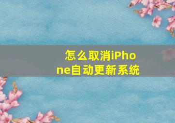 怎么取消iPhone自动更新系统