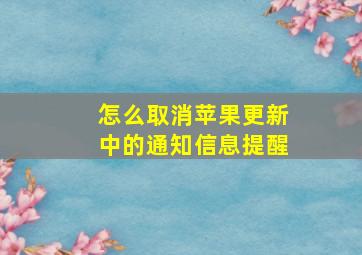 怎么取消苹果更新中的通知信息提醒