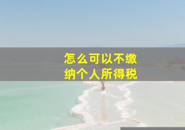 怎么可以不缴纳个人所得税