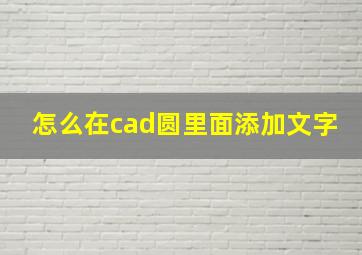 怎么在cad圆里面添加文字