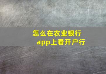 怎么在农业银行app上看开户行