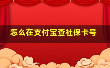 怎么在支付宝查社保卡号