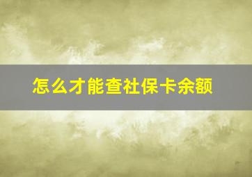 怎么才能查社保卡余额