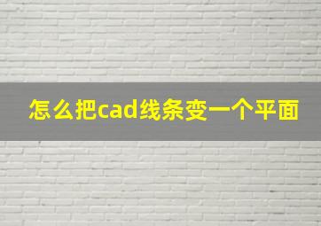 怎么把cad线条变一个平面