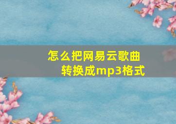 怎么把网易云歌曲转换成mp3格式