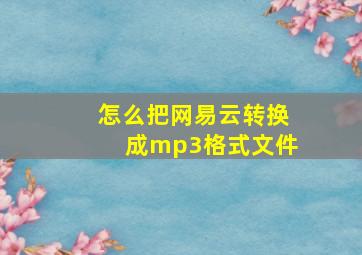 怎么把网易云转换成mp3格式文件