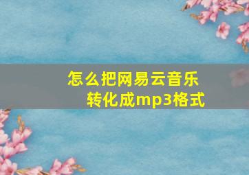 怎么把网易云音乐转化成mp3格式